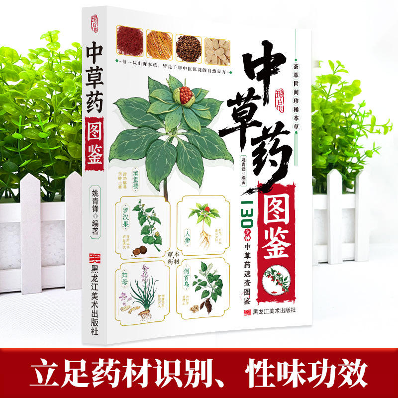 Guida Illustrata alla Medicina - Health Wellness Guide recensione e prezzo