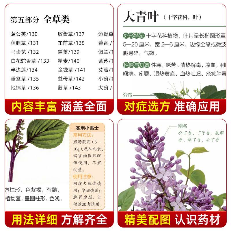 Guida Illustrata alla Medicina - Health Wellness Guide recensione e prezzo